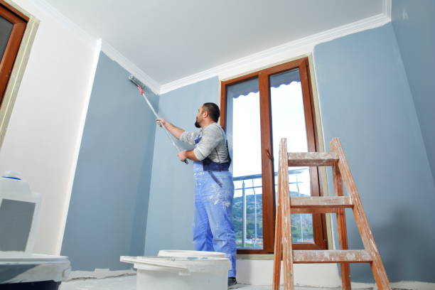 Best Drywall Sanding and Smoothing  in Willoughby Hills, OH